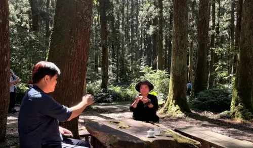 ▲活動包含山間茶席，民眾可以走入東眼山森林，在高聳杉木環抱與林業設施遺跡台車軌道相伴的自然環境中，品飲桃園大溪茶款。（圖／萬光久提供）