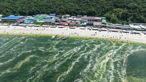 泰國度假島海水突變色！大雨後浮游生物爆量　遊客驚呼像「綠湯」
