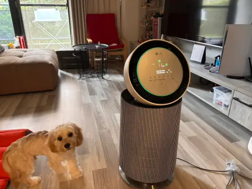 空氣清淨機一堆人用錯！譚敦慈教正確用法　防霾紗網效果價格速看