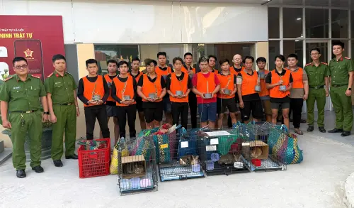 2700隻寵物貓被偷！越南爆偷貓集團　轉賣成貓肉掀眾怒