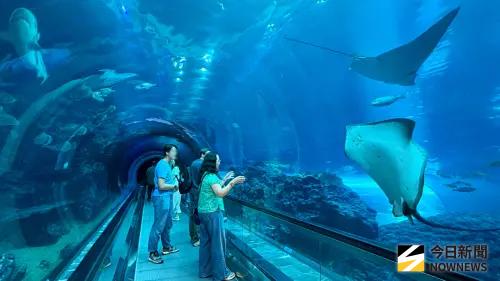 ▲「墾丁快線海生館兩天一夜套票」以海生館旅遊作為主題，提供旅客不同於自駕的旅遊選擇。（圖／記者陳美嘉攝）