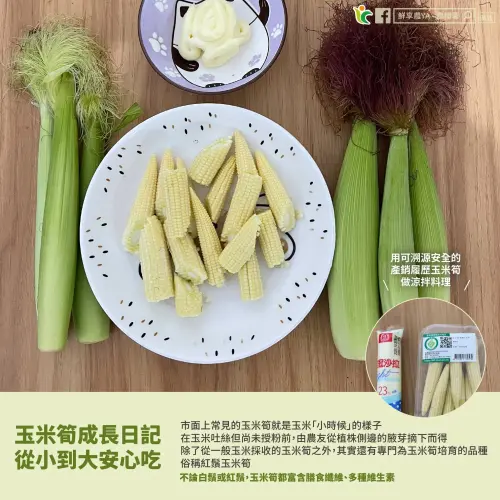 ▲農糧署解密玉米筍是玉米未授粉前採收的腋芽，富含膳食纖維與多種維生素。（圖／翻攝鮮享農YA-農糧署臉書）