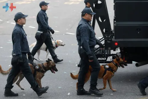 ▲115年國慶大會首度邀請領犬員帶領國家汪汪隊搜救犬與警犬一同參與空地搜救演練展演。（圖／翻攝自中華民國讚國慶粉專）