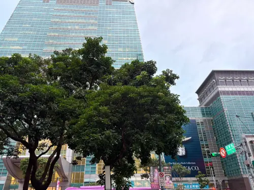 ▲信義廣場周邊視野開闊，從廣場部分位置可以將台北101一起拍進畫面。（圖／記者林若瑋攝）