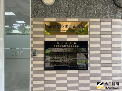 ▲「護國神馬」們在屏東有了真正屬於自己的家。（圖／記者張乃文攝）