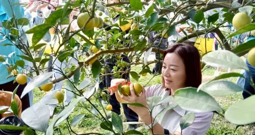綠營雲林爆情海風波？女議員遭掌摑、挑釁逼車！曾與劉建國7年情