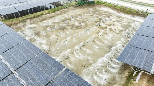 遭前員工及廠商背信　台泥綠能提民事求償逾7200萬元