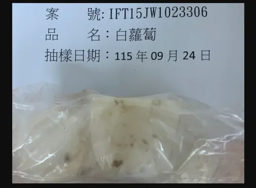 24噸中國進口「白蘿蔔」檢出芬普尼超標！食藥署邊境攔截