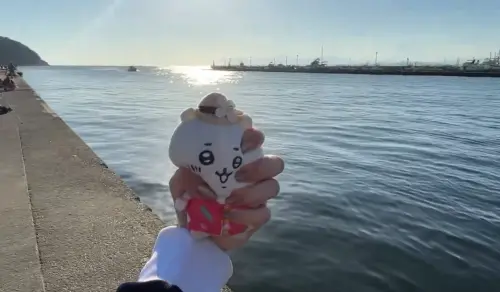 ▲四年前在江之島旅遊被老鷹叼走吉伊卡哇，韓國女孩近期重返傷心地，緊緊握住娃娃。（圖／翻攝自@i_melody_you／X）