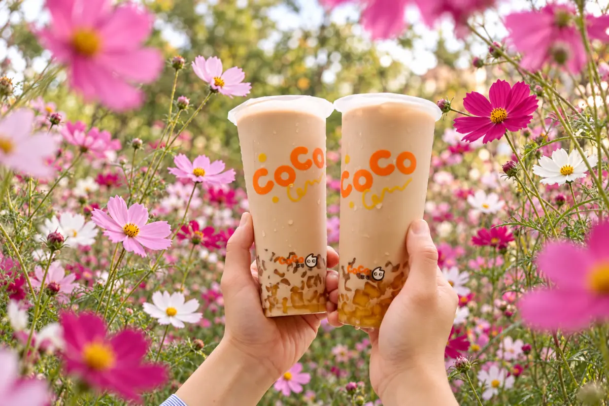 CoCo買一送一！粉角奶茶30元　麻古「巨峰葡萄」萬聖節紙杯明開賣