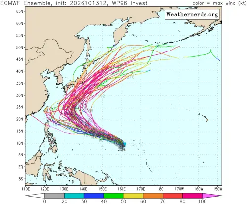 ▲最新歐洲模式系集模擬顯示，下半週關島東方海面有熱帶擾動發展，未來行徑大多在日本南方海面、向東北大迴轉。（圖／weathernerds.org）