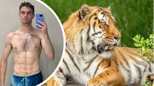 英動物園老虎致死案死者身分曝！23歲男曾是童星演過BBC節目