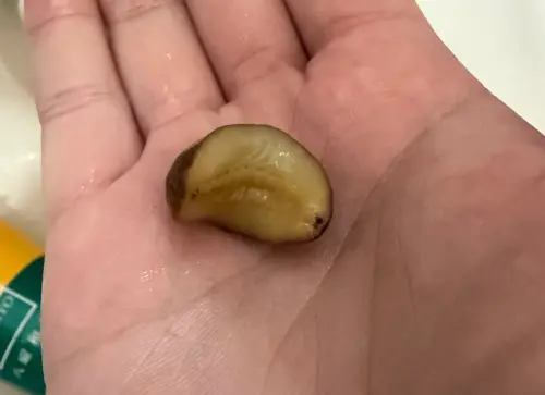 喝手搖「梅子突然會動」！一摸是蛞蝓：還長觸角　八曜和茶急道歉