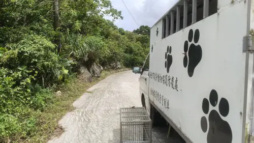 ▲經人員評估健康狀況及野外生存能力後，決定將牠帶回適合的棲地野放。（圖／新北動保處）
