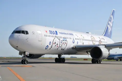 《吉伊卡哇》彩繪飛機啟航！ANA日本國內線開飛　機艙藏限定驚喜