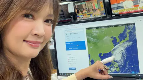 王淑麗報薔琵「手指包紗布狂晃」太敬業　本人證實：重摔落地掛彩