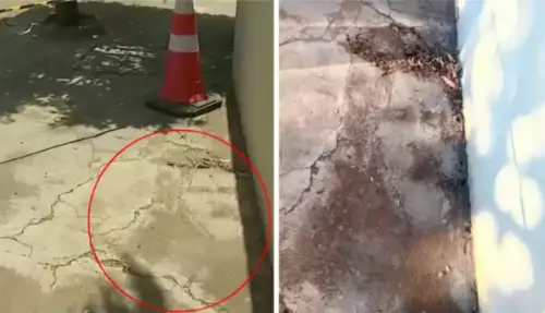巴西路面裂痕竟藏「耶穌臉」！民眾圍觀朝聖　還有人當街跪地祈禱