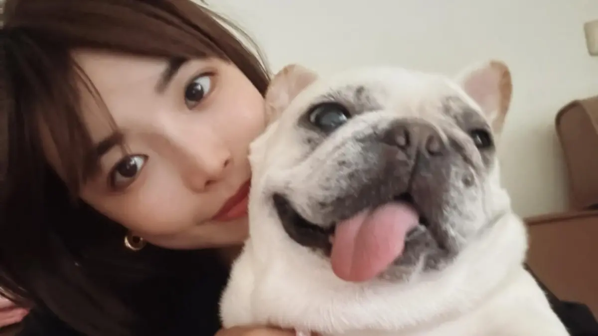 一隻阿圓班機遭取消！錯過愛犬最後一面　悲喊：我此生有你很幸福