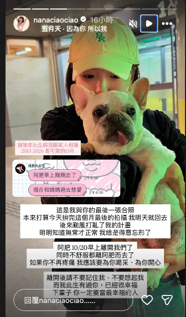 ▲一隻阿圓因颱風滯留在韓國，沒想到昨日她收到爸爸的訊息，得知陪伴自己長達13年的愛犬「阿肥」不幸離世。（圖／一隻阿圓IG@nanaciaociao）