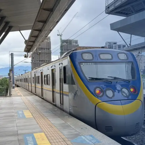 北迴線、宜蘭線路樹倒塌　台鐵搶修中15時恢復正常行駛