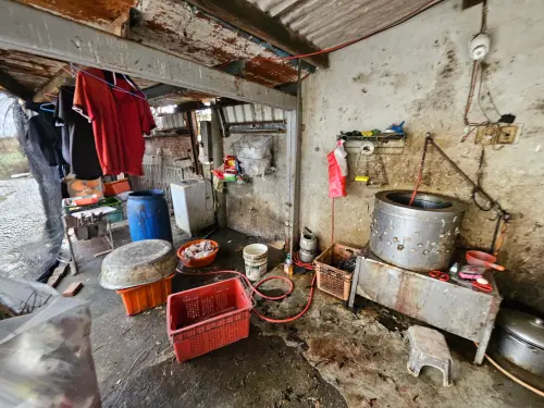 ▲非法屠宰場的周邊器具及作業環境非常髒污。（圖／吳韋達提供，2026.10.24）