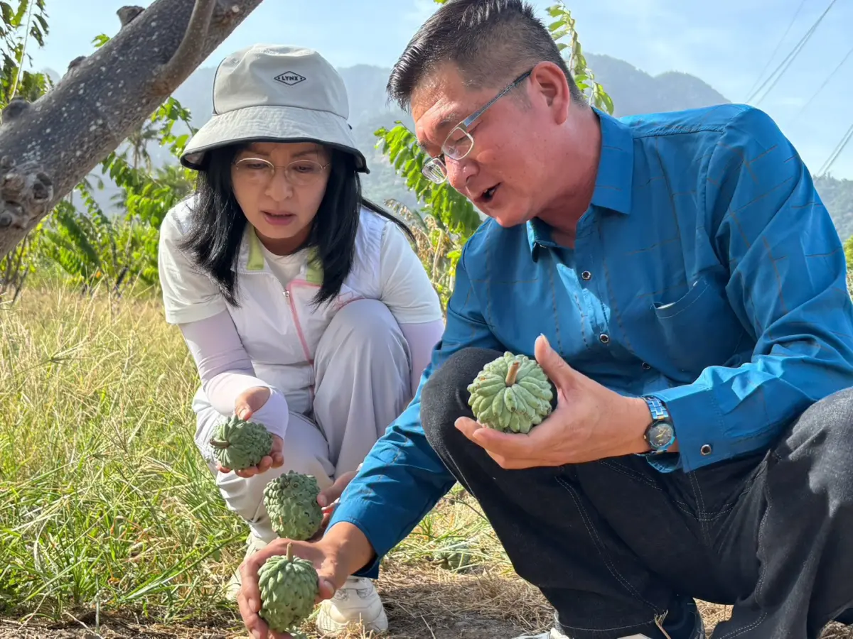 薔琵颱風肆虐 陳瑩赴漁港、果園勘災:要求農業部加速補助作業