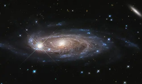 2026最後一波水逆來了！「3生肖、3星座」連衰20天　屬狗惹上麻煩