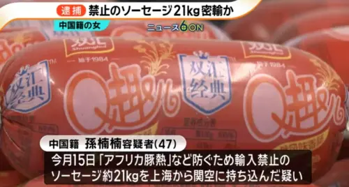 中國婦帶21公斤肉腸赴日被逮！她辯：不知香腸裡有肉
