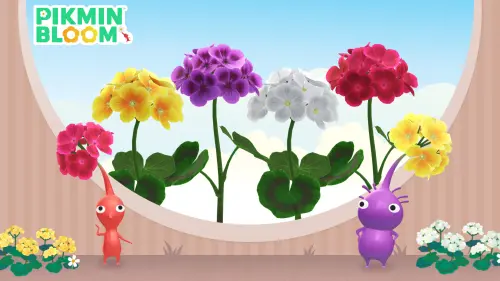▲皮克敏手遊《Pikmin Bloom》公布2026年11月「主要花朵」，將輪到首次盛開的「天竺葵」登場。（圖／《Pikmin Bloom》官網）