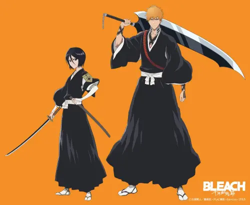 ▲《BLEACH死神》黑崎一護與朽木露琪亞是貫穿整部作品的重要搭檔，兩人的相遇開啟一護成為死神代理的旅程。（圖／翻攝自《BLEACH 千年血戰篇》）
