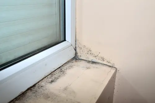 房市／颱風後必看　信義房屋解析三大房屋漏水點