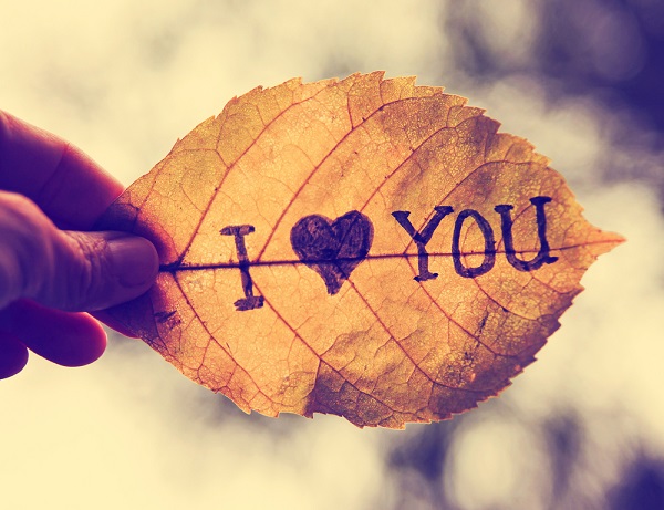 shutterstock_252940018