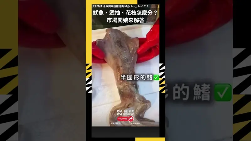 魷魚、透抽、花枝怎麼分？市場闆娘來解答