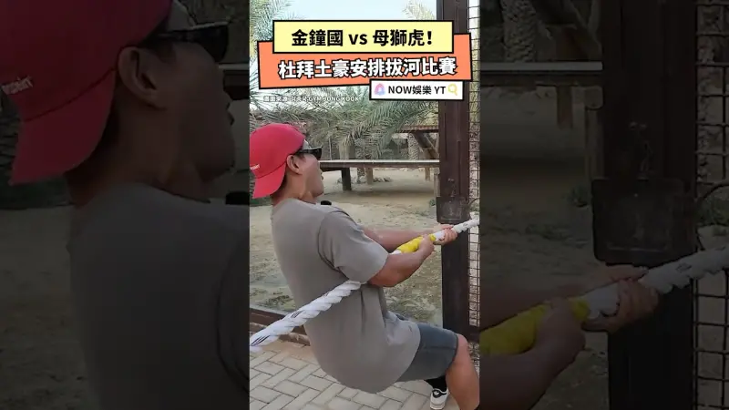 金鐘國 vs 母獅虎！杜拜土豪安排拔河比賽