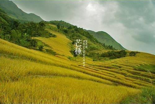 二十四節氣食譜／四月芒種雨去哪裡了？
